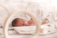 La OMS reitera el riesgo bajo de sepsis neonatal asociada al enterovirus en Francia: "No nos preocupa"