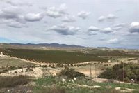 Junta rechaza legalizar 90 hectáreas de frutales en parque natural de Cabo de Gata (Almería) sin disponibilidad hidríca