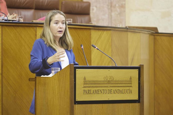 La diputada del Grupo Parlamentario Socialista, Alicia Murillo, archivo 