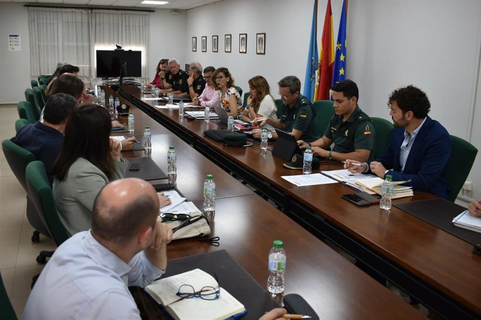 Comité Territorial de Coordinación de la OPE