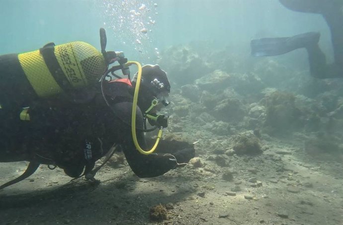 Buceadores voluntarios de la Red de Vigilantes Marinos participan en una acción de recogida de basura en el entorno natural puesta en marcha por SEO/Birdlife y Ecoembes