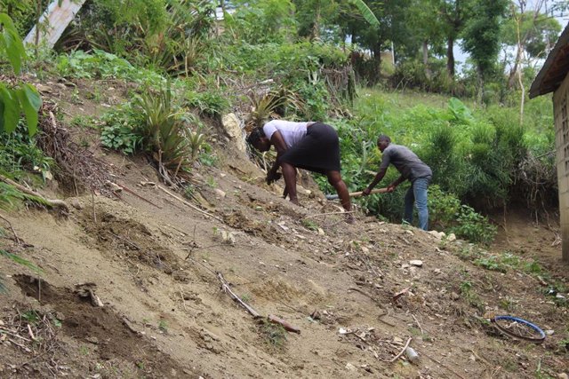 Dos haitianos trabajan en la reforestación de unas tierras.
