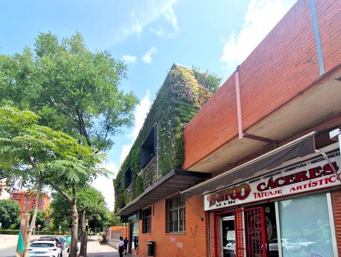 Trabajos de ubicación del jardín vertical en la estación de autobuses de Cáceres.