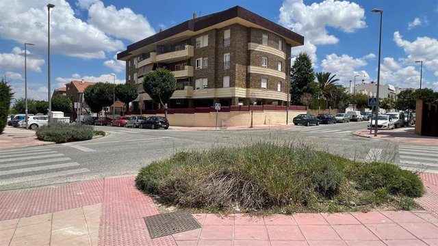 Renaturalización zonas verdes de Jaén