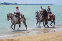 Calviño dice que el boicot a la fresa española en Alemania "se veía venir" por la actuación "irresponsable" con Doñana