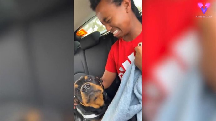 Este joven con pánico a los perros reacciona despavorido cuando se le acerca un rottweiler