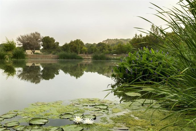 Parque de El Recorral de Rojales (Alicante).