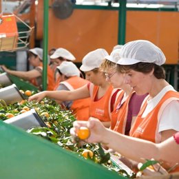 Iberian Premium Fruits