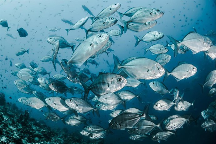 Seasonality  FOR WORLD OCEANS DAY RELAIS & CHATEAUX IS TAKING ACTION TO SERVE SUSTAINABLY CAUGHT  FISH, CRUSTACEANS, AND MOLLUSKS