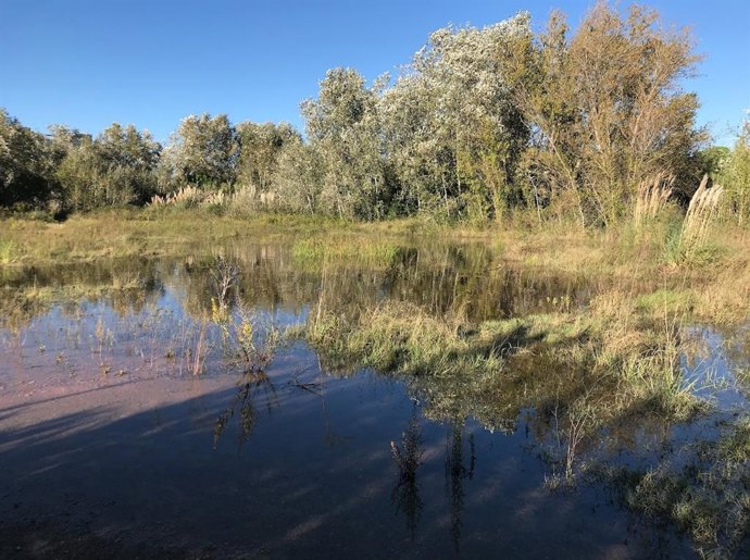 El delta del Llobregat, al Prat de Llobregat (Barcelona)
