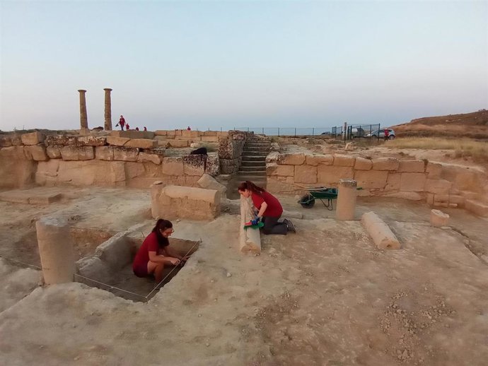 Trabajos de preparación de la campaña de 2023.