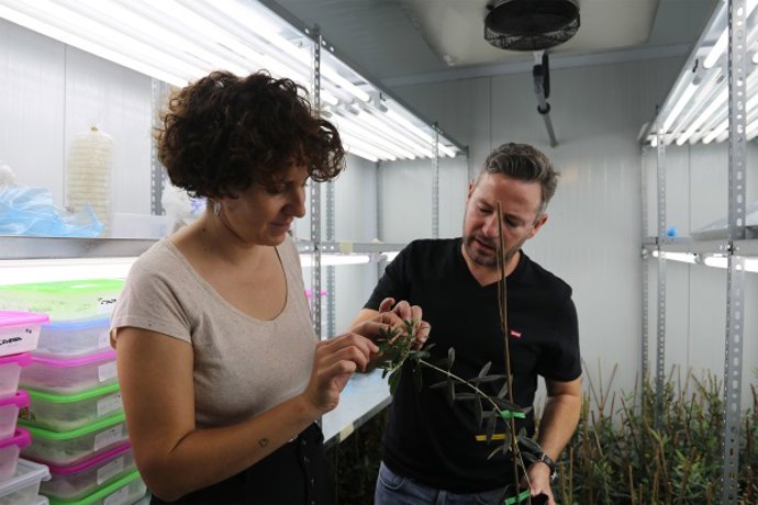 Los investigadores María Teresa García y Juan Moral.