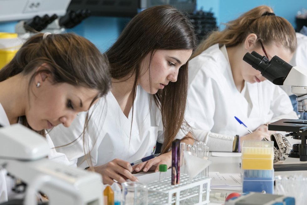 Archivo - Estudiantes en la Facultad de Ciencias de la Salud de la Universidad CEU Cardenal Herrera (CEU UCH)