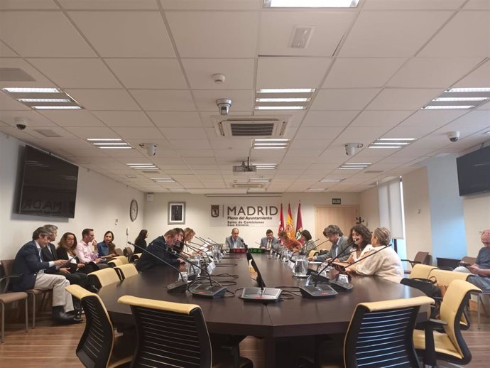 Comisión de Cuentas del Ayuntamiento de Madrid