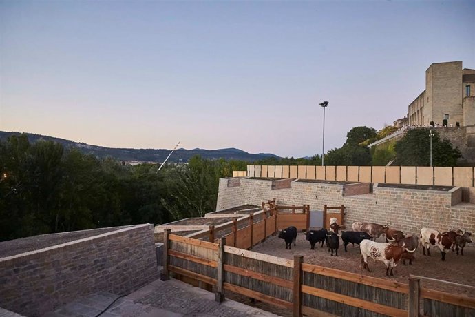 Los toros en los corralillos de Santo Domingo.