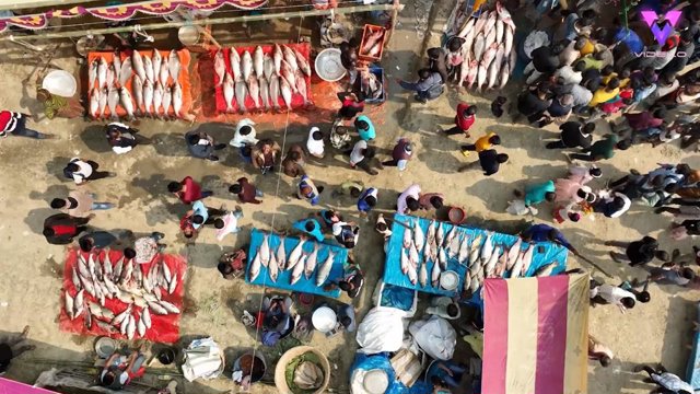 Instantáneas únicas de la Fiesta del Pescado: Una tradición con más de 400 años de antigüedad