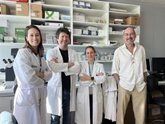 Foto: Investigadores avanzan en identificar nuevas dianas terapéuticas para patologías neurodegenerativas como el Huntington
