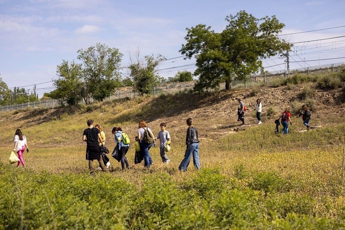 Recogida de residuos de '1m2 contra la basuraleza