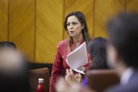 PSOE-A reprocha a PP que sólo abra la mano con Delibes como nuevo compareciente sobre regadíos de Doñana