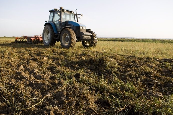 Archivo - Campo, Tractor, Agricultura En Aragón