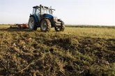 Foto: UE.- España, cuarto país UE con más irregularidades en uso de fondos estructurales y agrícolas, según la OLAF
