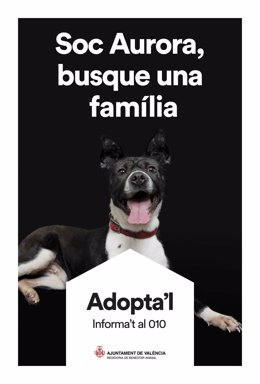 Cartel de campaña Adoptal del Ayuntamiento de Valncia para fomentar la acogida de animales y luchar contra su abandono