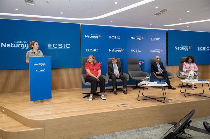 Expertos energéticos subrayan la necesidad de no perder de vista la neutralidad tecnológica