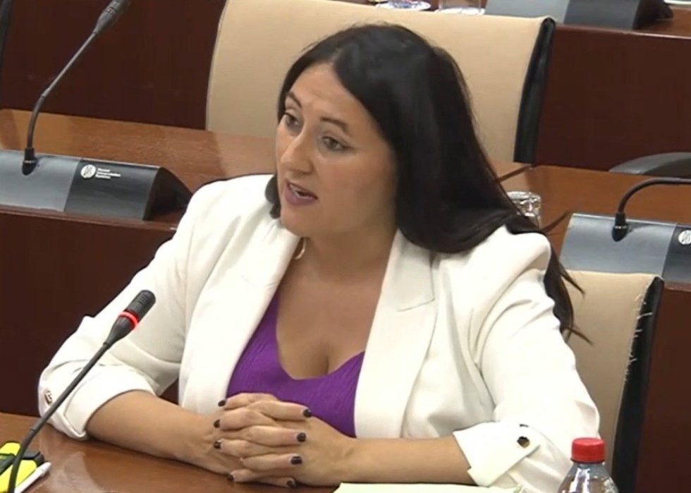 La parlamentaria de Por Andalucía Alejandra Durán en comisión parlamentaria.