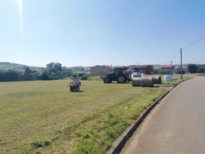 Archivo - PAC, agricultura, ganadería, medio rural asturiano.