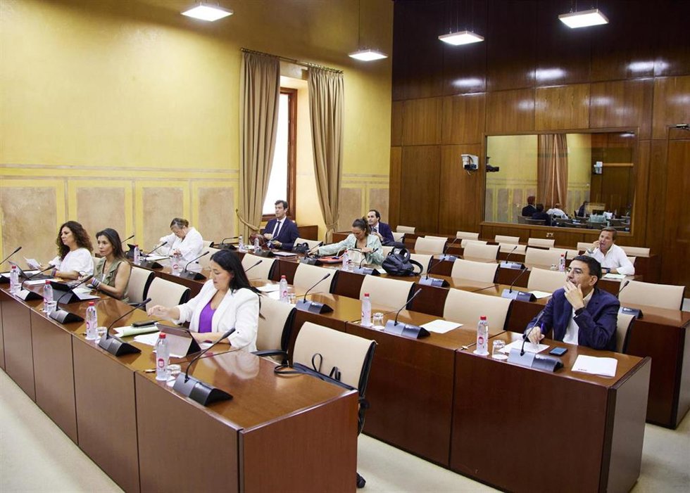 Diputados en la comisión de control de la RTVA en el Parlamento andaluz.