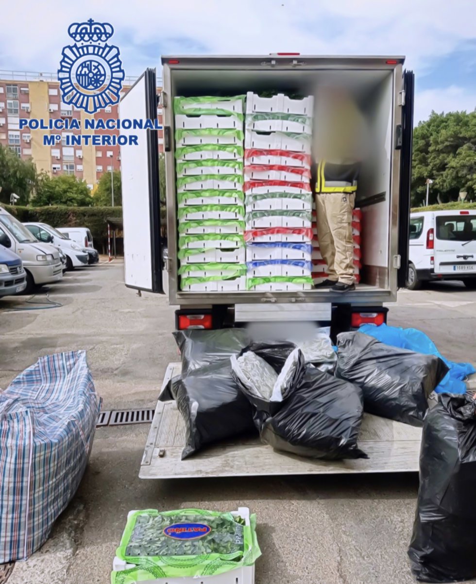Camión intervenido con 89 kilos de marihuana camuflados entre hierbas aromáticas.