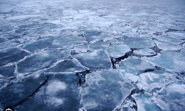 Hielo marino en el Ártico