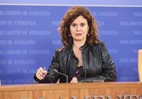 Más País Andalucía pide "discreción y contención" en las negociaciones sobre Sumar para el 23J: Hay "demasiado ruido"