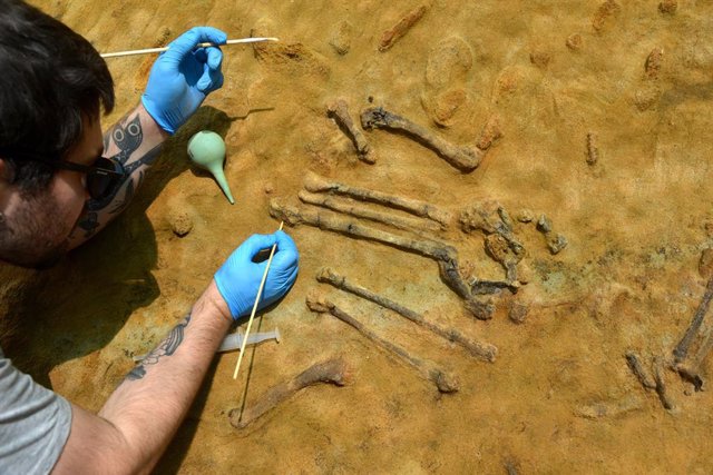 Imatge de l'esquelet de l'au que s'ha trobat a Caldes de Malavella.