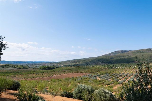 Archivo - Zona de les Coves de Vinromà