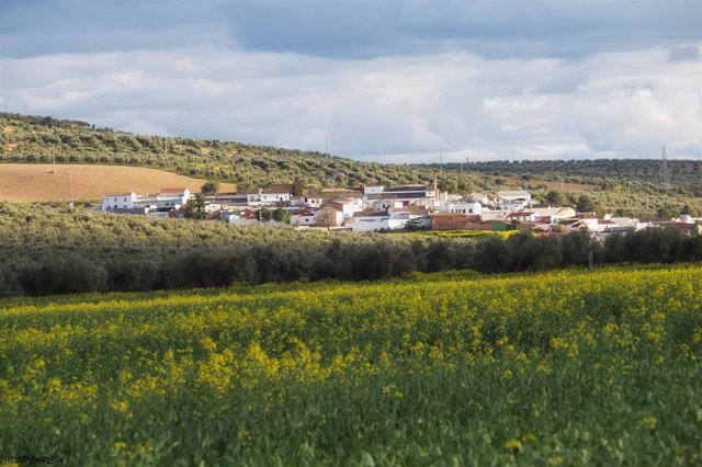 Archivo - La aldea bujalanceña de Morente, rodeada de olivos y otras tierras de cultivo, donde se quiere instalar parte de la planta solar ahora recurrida.