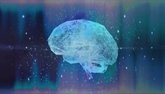 Foto: La ONU urge a los países a establecer un marco ético sobre neurotecnología para proteger la "libertad de pensamiento"