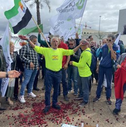 Concentración de cereceros del norte de Cáceres frente a la Consejería de Agricultura en Mérida