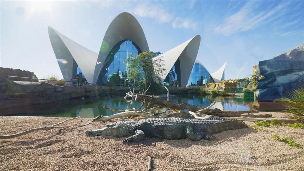 Archivo - Vista general del Oceanografic desde el cocodrilario