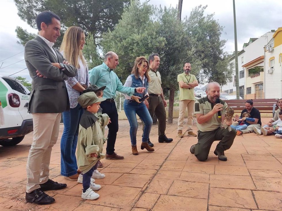 Suelta del búho