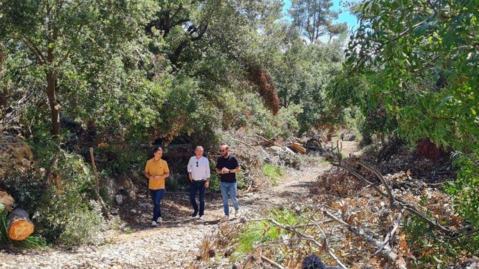 El conseller de Medio Ambiente y Territorio, Miquel Mir, visita una de las zonas afectadas por el temporal 'Juliette' en Selva.