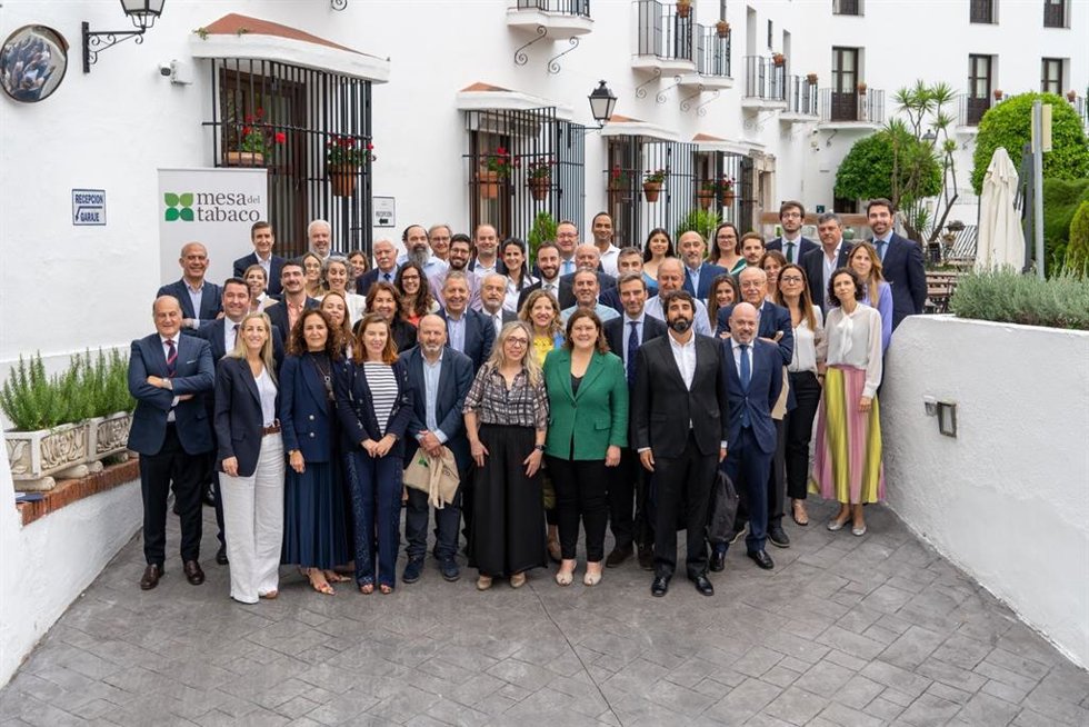 Foto de familia de los asistentes a la Reunión Plenaria de la Mesa del Tabaco.