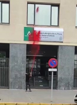 Momento en el que un integrante de Futuro Vegetal rocía con pintura la sede de la Delegación de Agricultura en Cádiz.