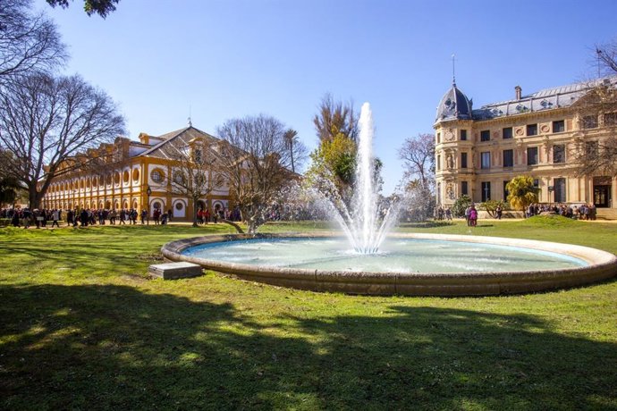 Archivo - Real Escuela Andaluza de Arte Ecuestre