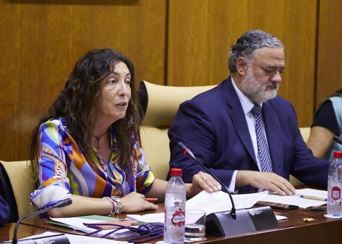 La consejera de Inclusión Social, Juventud, Familias e Igualdad, Loles López, en comisión parlamentaria.