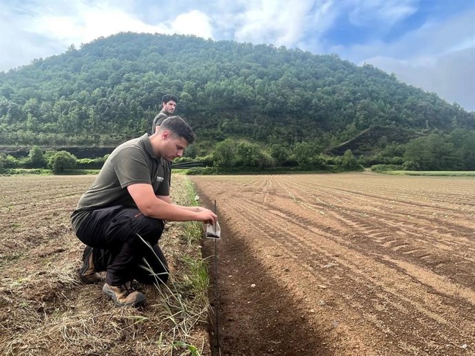 Un técnico coloca el producto en las inmediaciones de un cultivo