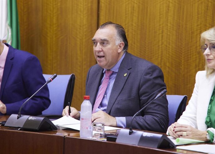 El consejero andaluz de Turismo, Cultura y Deporte, Arturo Bernal, en comisión parlamentaria.