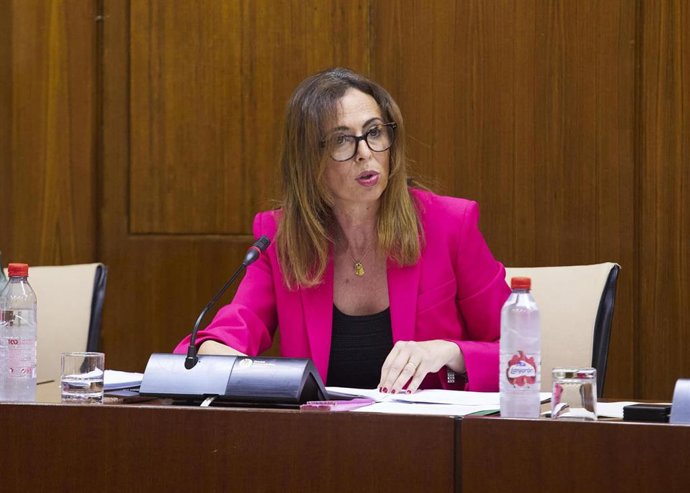 La consejera de Fomento, Articulación del Territorio y Vivienda, Rocío Díaz, en comisión parlamentaria