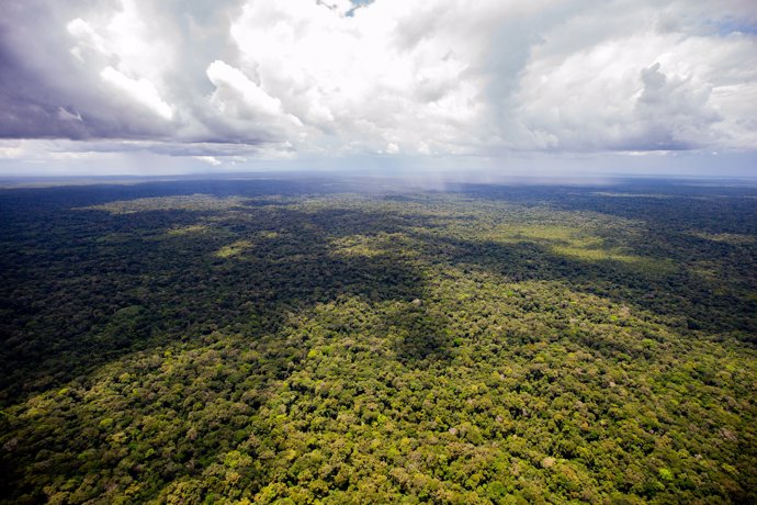 Archivo - March 3, 2021, Sao Paulo, Sao Paulo, Brazil: Aerial view of the Amazon rainforest in the upper Rio Negro, in the state of Amazonas, on the border between Brazil and Colombia, the northwest of the country.
