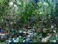 Los cuatro niños colombianos rescatados en la selva ya reciben tratamiento en Bogotá con pronóstico reservado